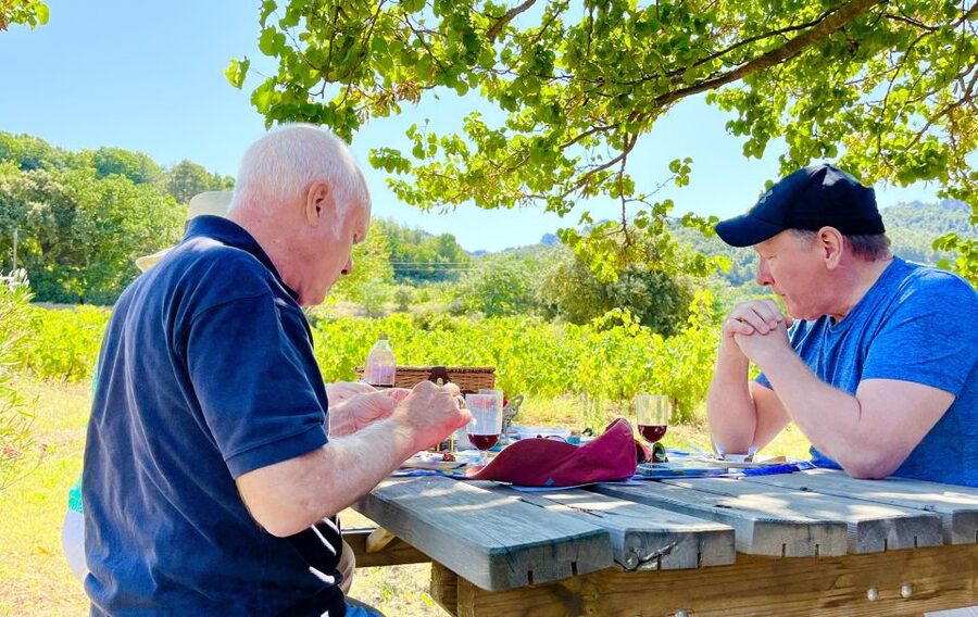 From Avignon: Roman Tour to Pont du Gard, Nîmes & Orange - Nîmes and the Maison Carrée