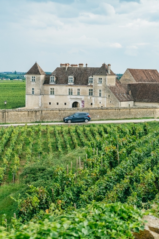 From Beaune: Burgundy Day Trip with 14 Wine Tastings - Why this Burgundy day trip works