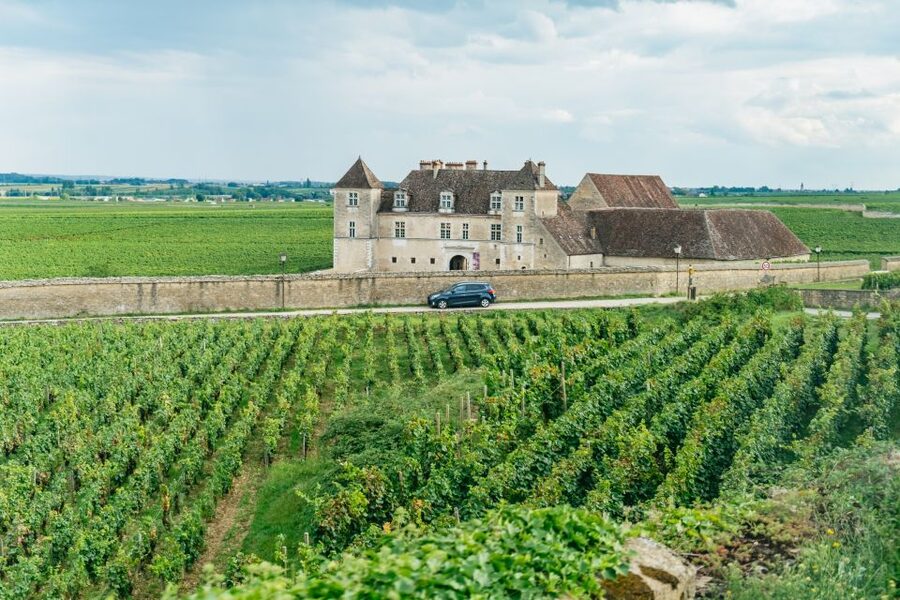 From Beaune: Burgundy Day Trip with 14 Wine Tastings - A Burgundy lunch break with local food