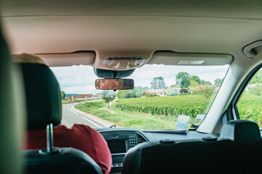 From Beaune: Burgundy Day Trip with 14 Wine Tastings - The Route des Grands Crus and Romanée-Conti