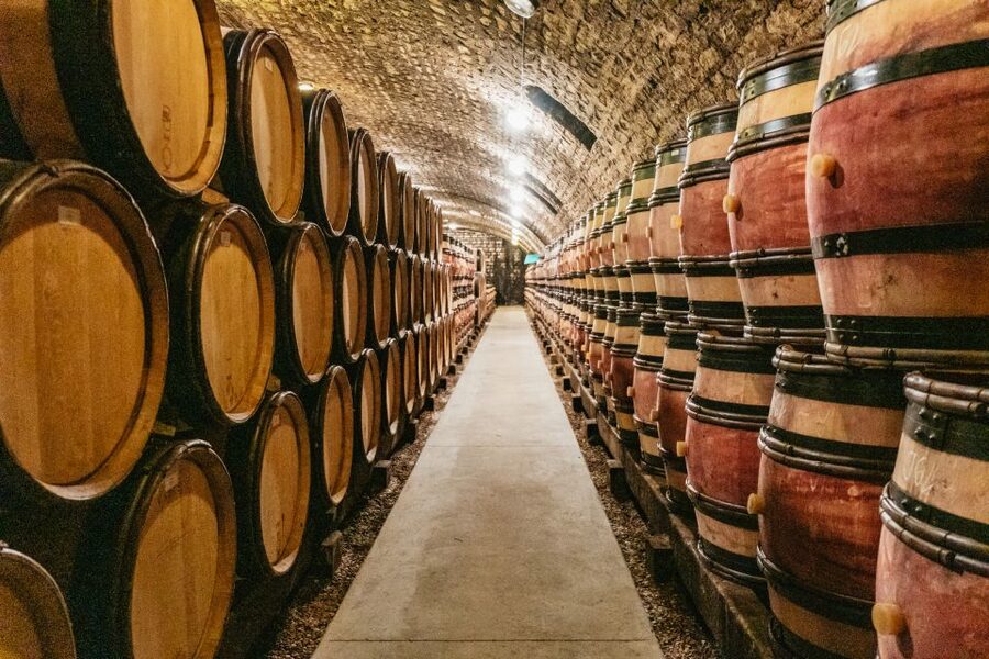From Beaune: Burgundy Day Trip with 14 Wine Tastings - What $294 buys you