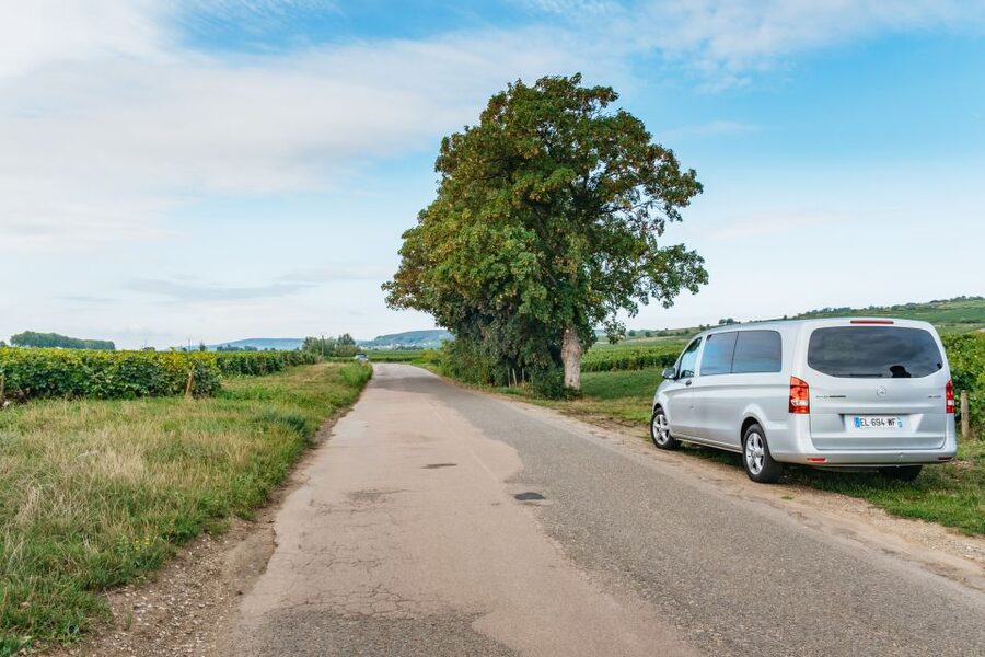 From Beaune: Burgundy Day Trip with 14 Wine Tastings - Practical details that affect the day