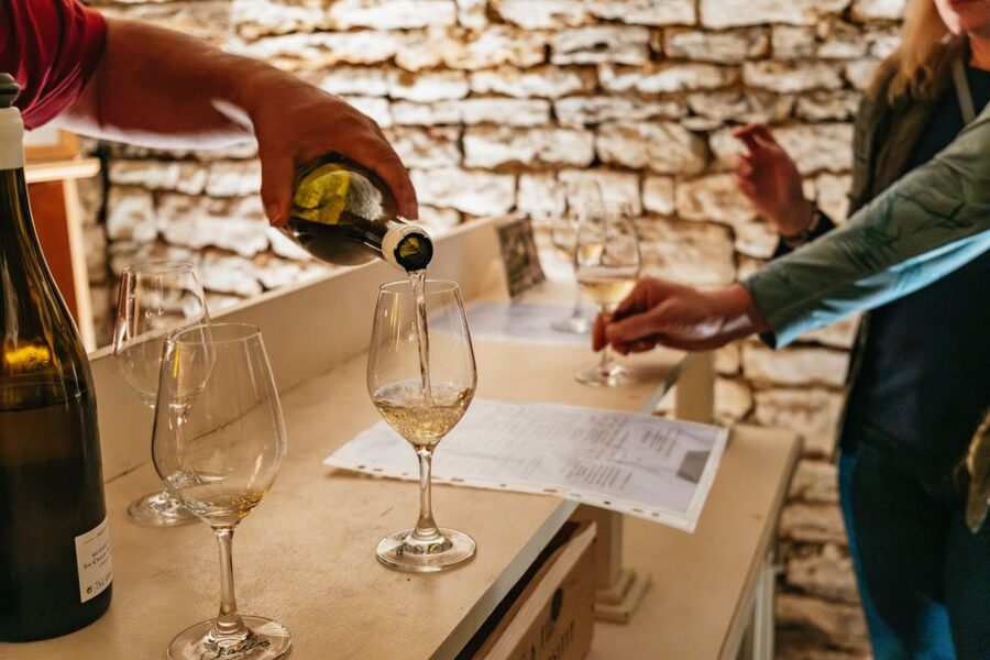 From Beaune: Burgundy Day Trip with 14 Wine Tastings - Morning near Beaune: start with the appellation ladder