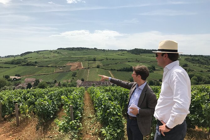 From Beaune: Full day the most of Burgundy, with lunch - Burgundy in one well-paced half-day