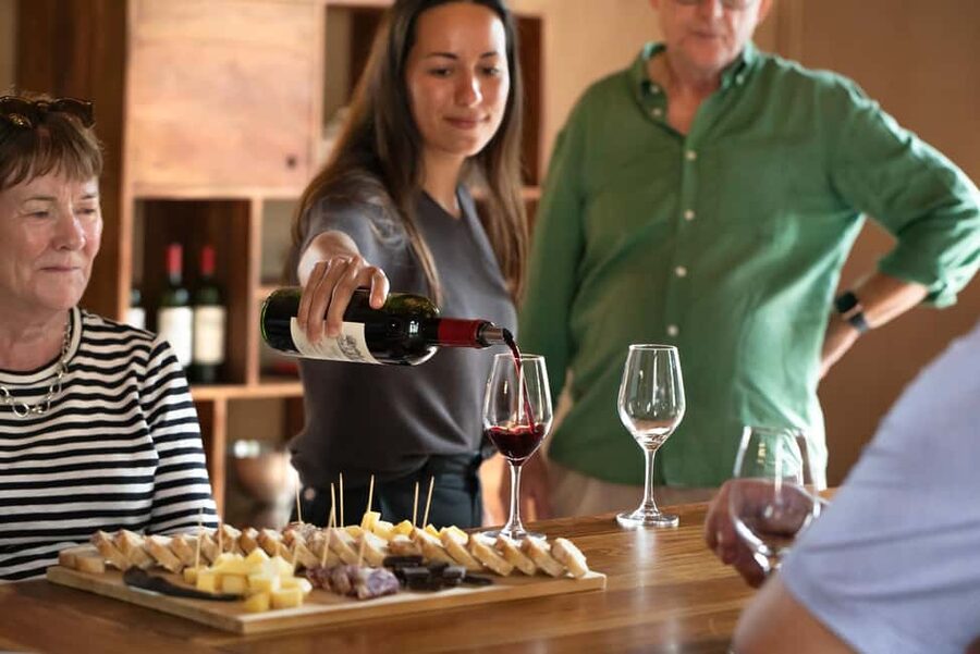 From Bordeaux: Afternoon Saint-Emilion Wine Tasting & snack - Inside a Grand Cru Classé château