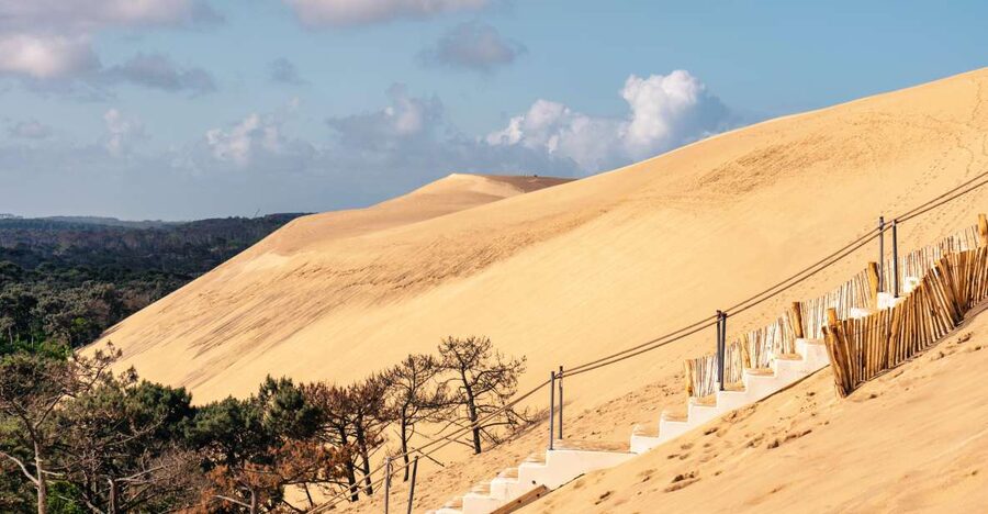 From Bordeaux: Arcachon Bay Full Day Tour and Oyster Lunch - Five things to know before you book
