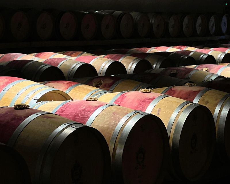 From Bordeaux: Essential Morning Tour with Wine Tasting - Should you book it?