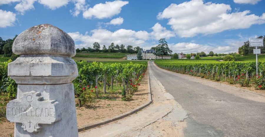 From Bordeaux: Full-Day St Emilion Wine Tasting Tour - Key points to know before booking