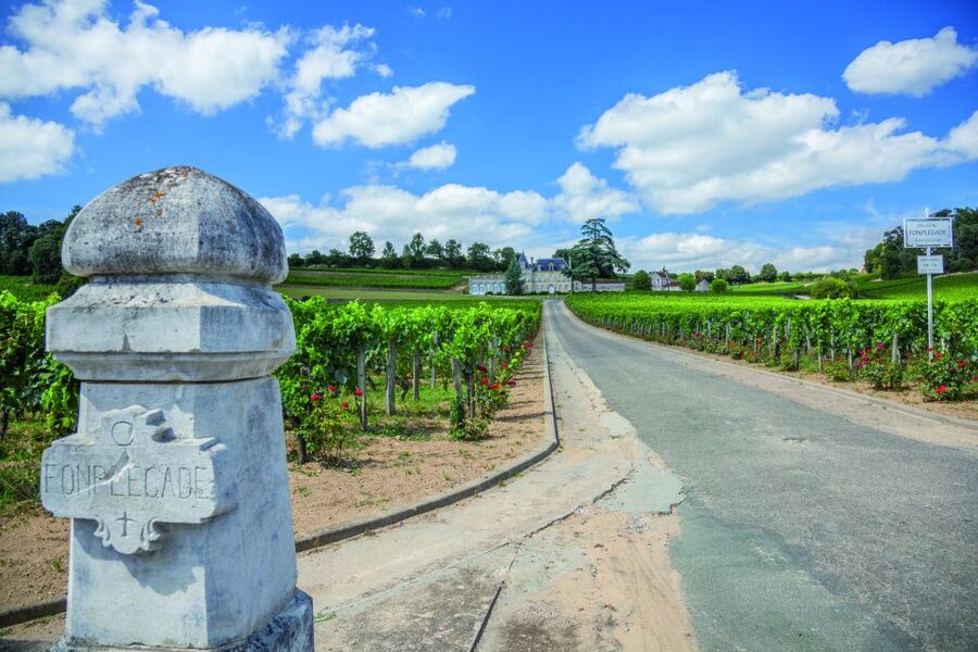 From Bordeaux: Full-Day St Emilion Wine Tasting Tour - Why the Right Bank makes a good one-day wine trip