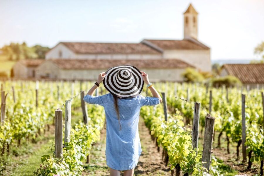 From Bordeaux: Full-Day St Emilion Wine Tasting Tour - First chateau: learning how to taste Bordeaux