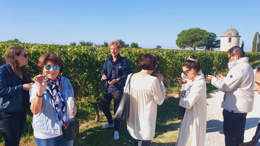 From Bordeaux: Half-Day Saint-Émilion Tour and Wine Tasting - Who should book this half-day trip?