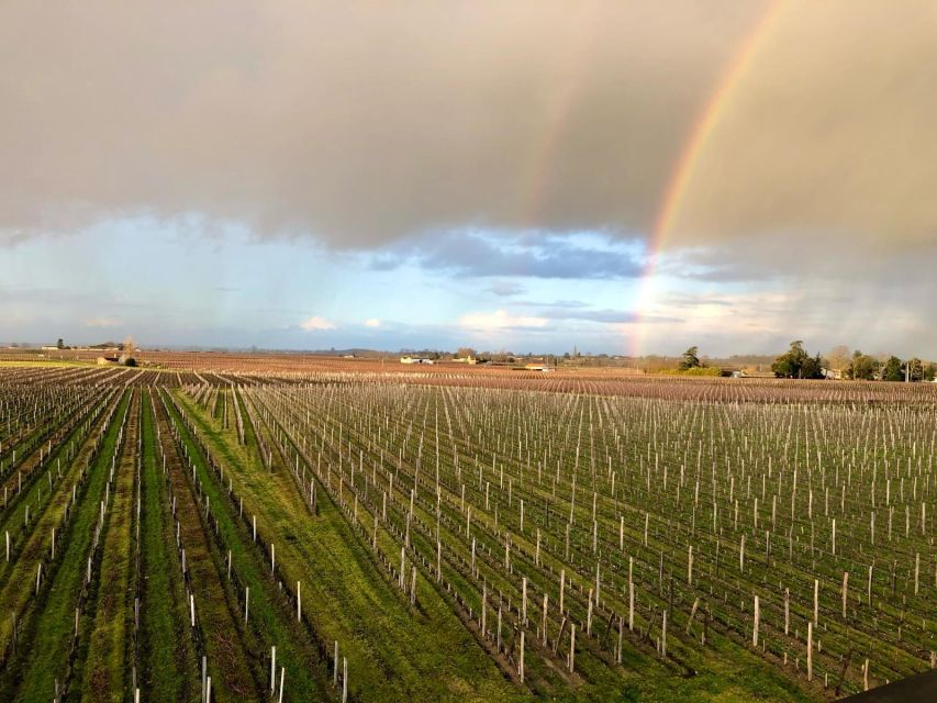 From Bordeaux: Half-Day Saint-Emilion Wine Tour - Walking through Saint-Émilion