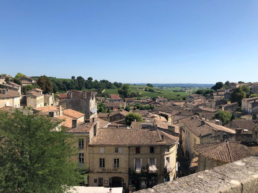 From Bordeaux: Half-Day Saint-Emilion Wine Tour - Inside the château and vineyard