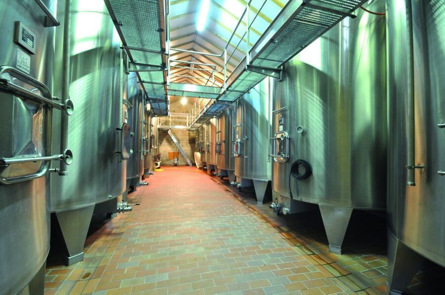 From Bordeaux: Medoc Half-Day Wine Tour - Second château: a different angle on Médoc wine