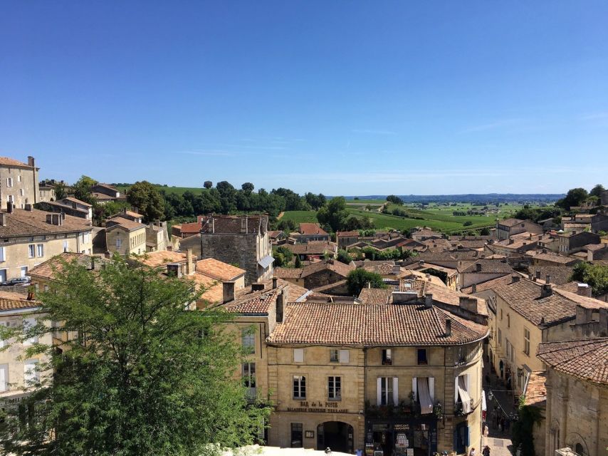 From Bordeaux: Saint-Emilion Guided Wine Tasting Tour - Who should book this experience