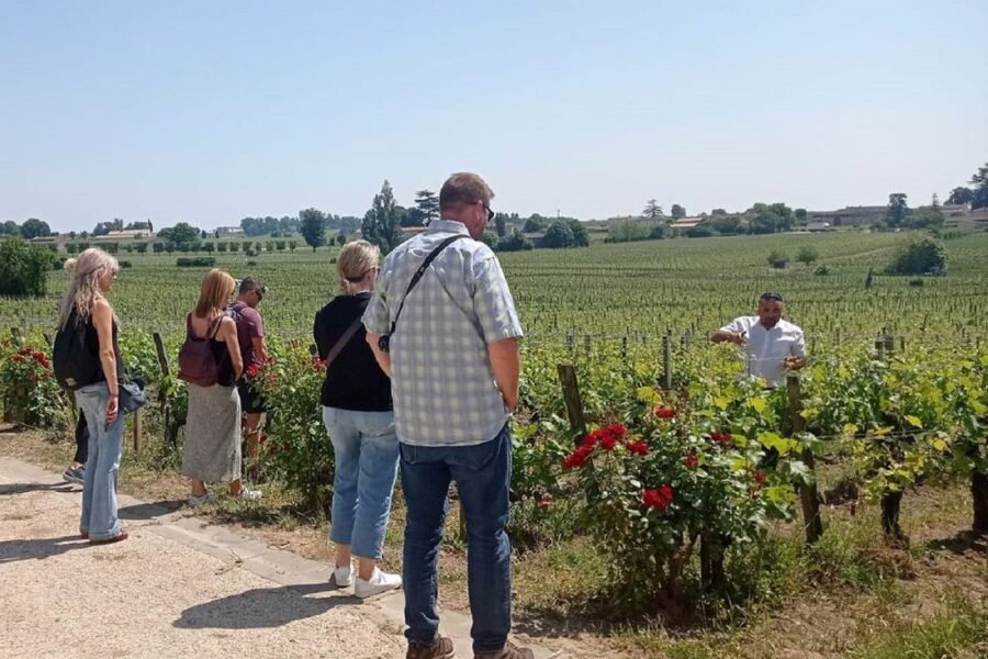 From Bordeaux: Saint-Emilion Guided Wine Tasting Tour - Timing, cancellation, and useful planning tips