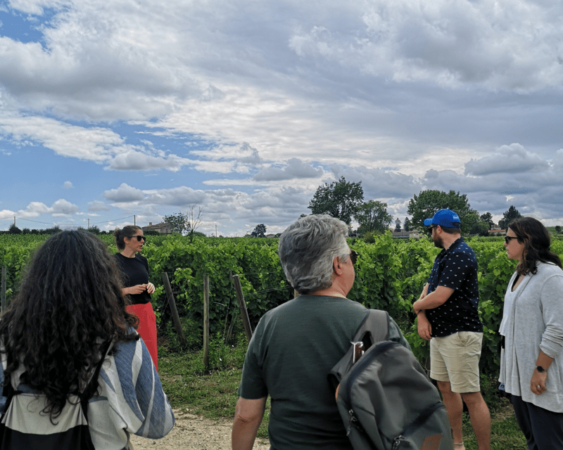From Bordeaux: Saint-Émilion Half-Day Tour with Wine Tasting - Meeting a family winery with an organic approach