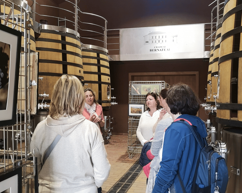 From Bordeaux: Saint-Émilion Half-Day Tour with Wine Tasting - Walking Saint-Émilion’s medieval streets