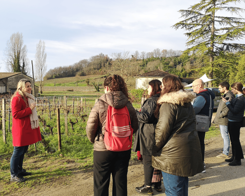From Bordeaux: Saint-Émilion Half-Day Tour with Wine Tasting - Leaving Bordeaux in a nine-seat van