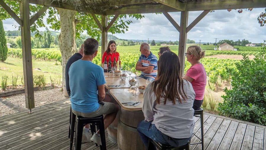 From Bordeaux: St-Emilion Day Tour with Tastings and Lunch - The day at a glance