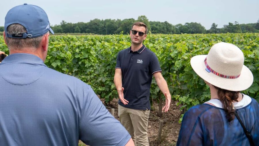 From Bordeaux: St-Emilion Day Tour with Tastings and Lunch - Who will enjoy this day most?