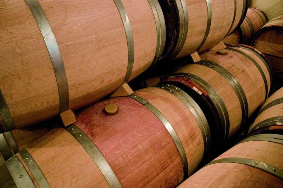 From Bordeaux: St. Emilion Village Half-Day Wine Tour - The guides are a major part of the experience