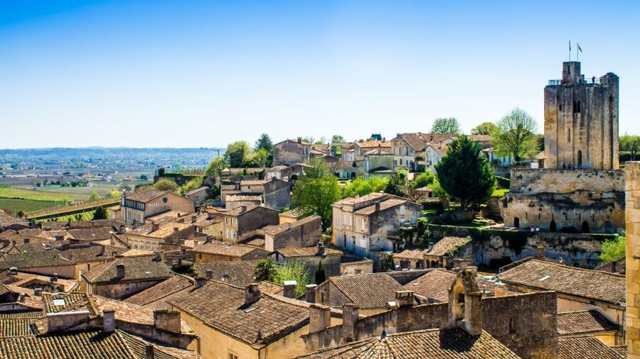 From Bordeaux: St. Emilion Village Half-Day Wine Tour - Practical details that can make the afternoon better