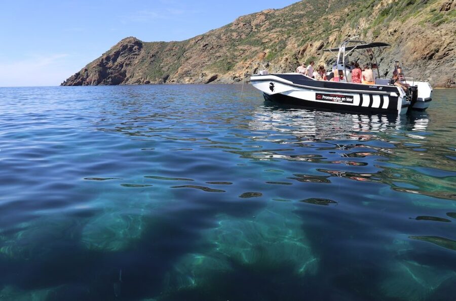 From Calvi: 2-Hour Sunset Cruise to Revellata Peninsula - Key points at a glance