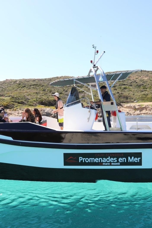 From Calvi: 2-Hour Sunset Cruise to Revellata Peninsula - Leaving Calvi with the citadel behind you