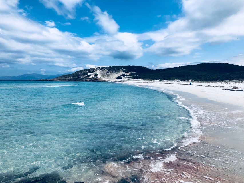 From Calvi: 4x4 Day Tour Mountain & Agriates' Saleccia Beach - Key Points Before You Book