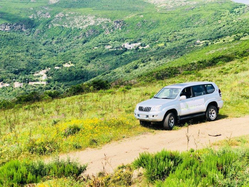 From Calvi: 4x4 Day Tour Mountain & Agriates' Saleccia Beach - Olive Groves and the Reginu Valley