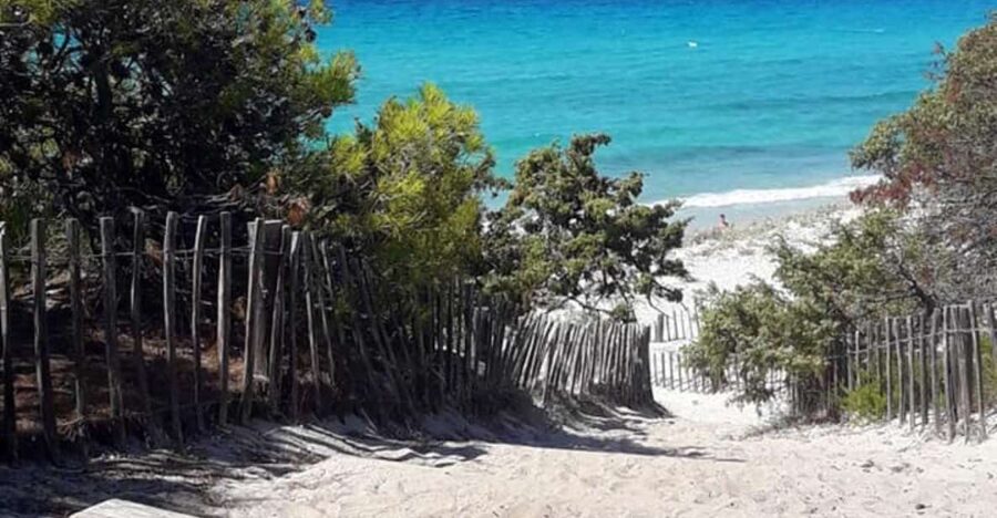 From Calvi: 4x4 Day Tour Mountain & Agriates' Saleccia Beach - The Farm Stop and an Extra-Cost Lunch