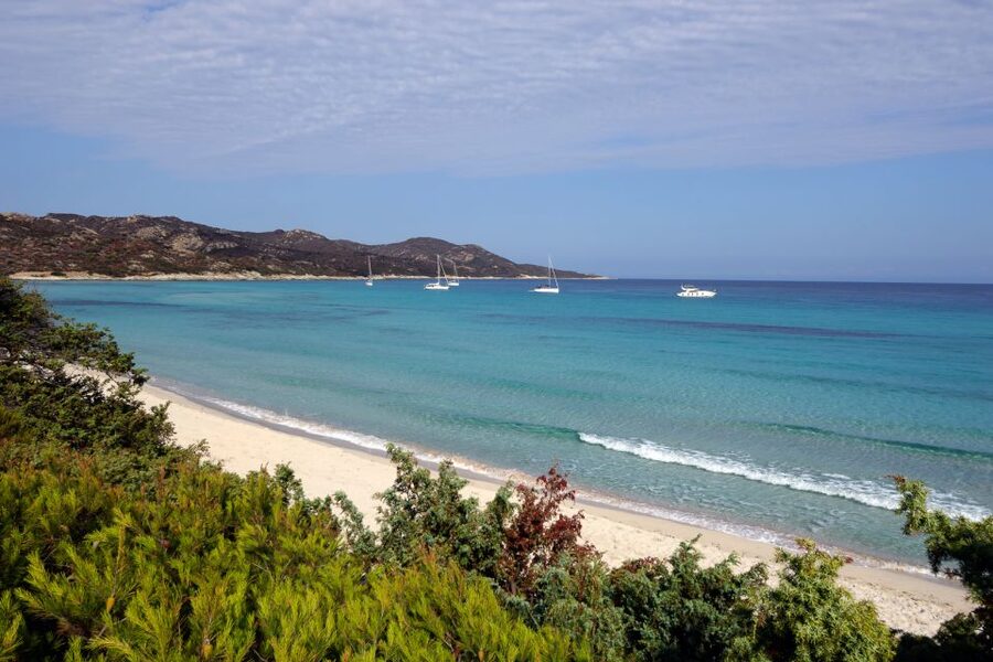 From Calvi: Agriate Guided Jeep Tour to Lotu and Saleccia - Key points to know before booking