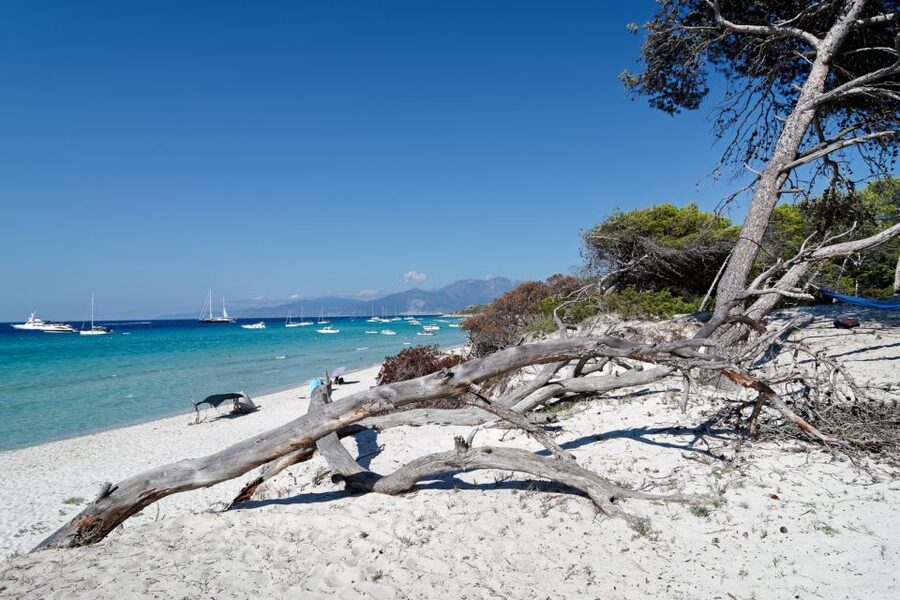 From Calvi: Agriate Guided Jeep Tour to Lotu and Saleccia - Lotu Beach, the first coastal stop