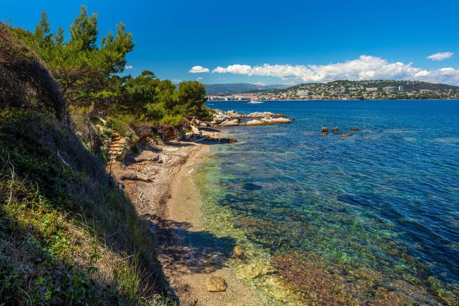 From Cannes: Round-Trip Ferry to Ste. Marguerite Island - Swimming, coves, and the underwater eco museum