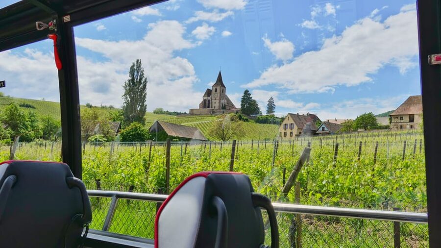 From Colmar: Alsace Medieval and Wine Tasting Day Tour - Haut-Koenigsbourg Castle is the day’s big historical sight