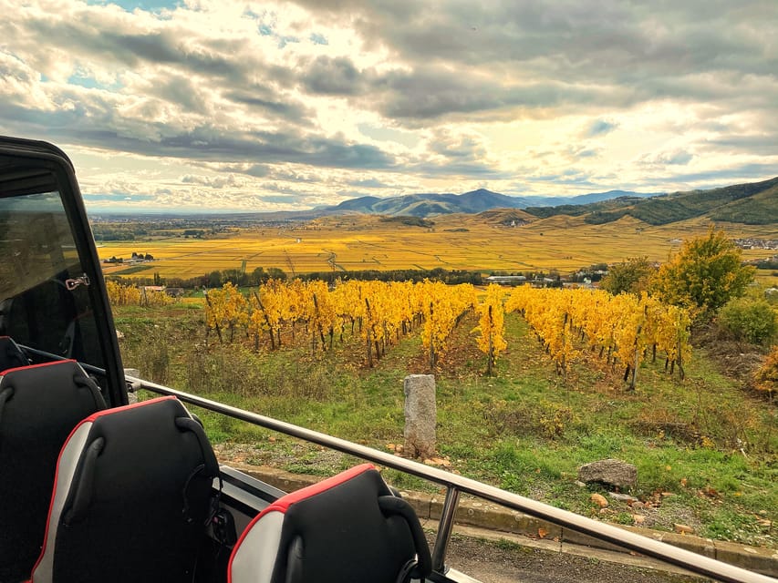 From Colmar: Alsace Medieval and Wine Tasting Day Tour - The vineyard tasting comes last