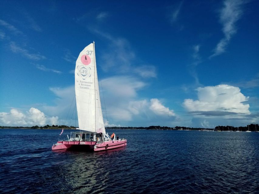 From Concarneau or Port la Forêt: Evening 2 hours navigation - Should you book it?