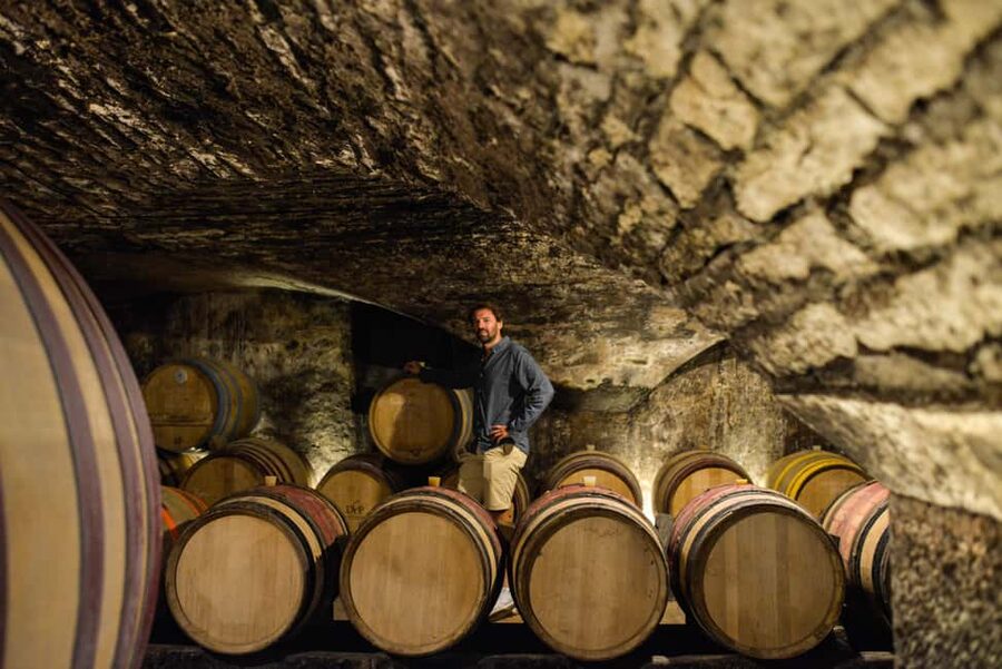 From: Dijon/Beaune: Burgundy Region Winery Tour with Lunch - Key points at a glance