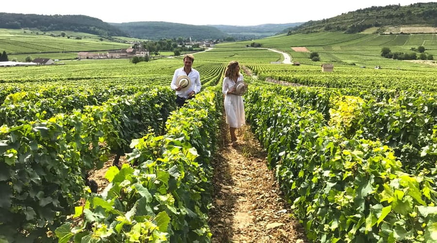 From: Dijon/Beaune: Burgundy Region Winery Tour with Lunch - Clos de Vougeot and Vosne-Romanée
