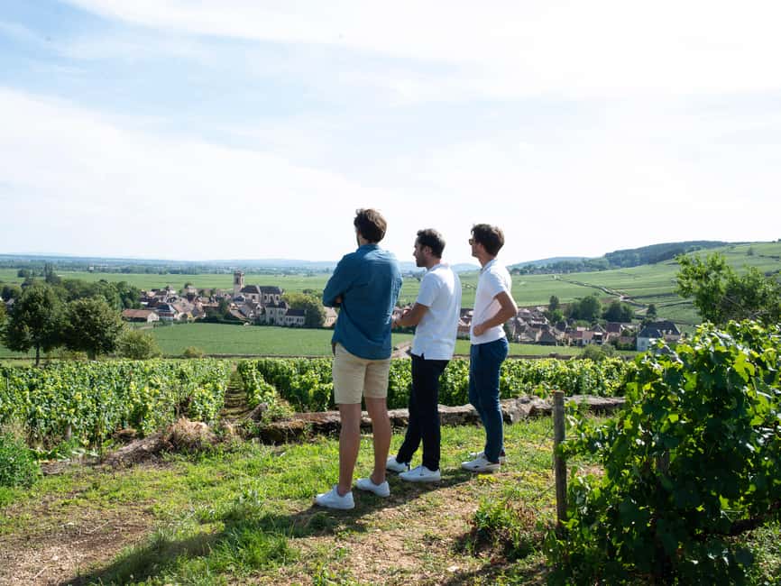 From: Dijon/Beaune: Burgundy Region Winery Tour with Lunch - Beaune from the road