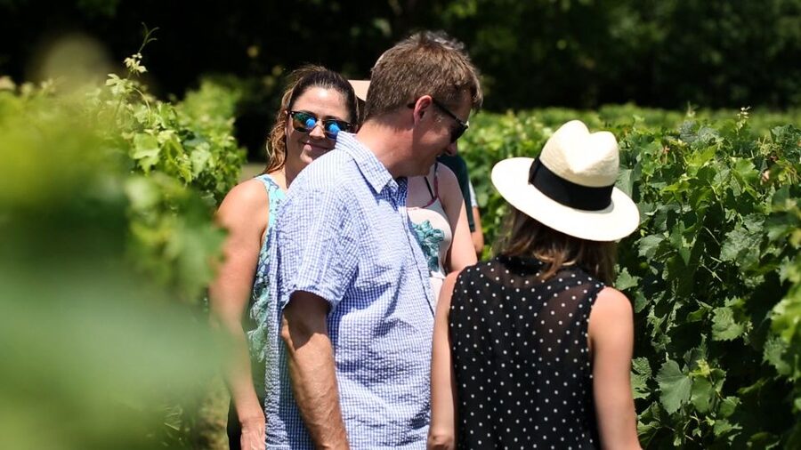 From: Dijon/Beaune: Burgundy Region Winery Tour with Lunch - The Route des Grands Crus and village streets