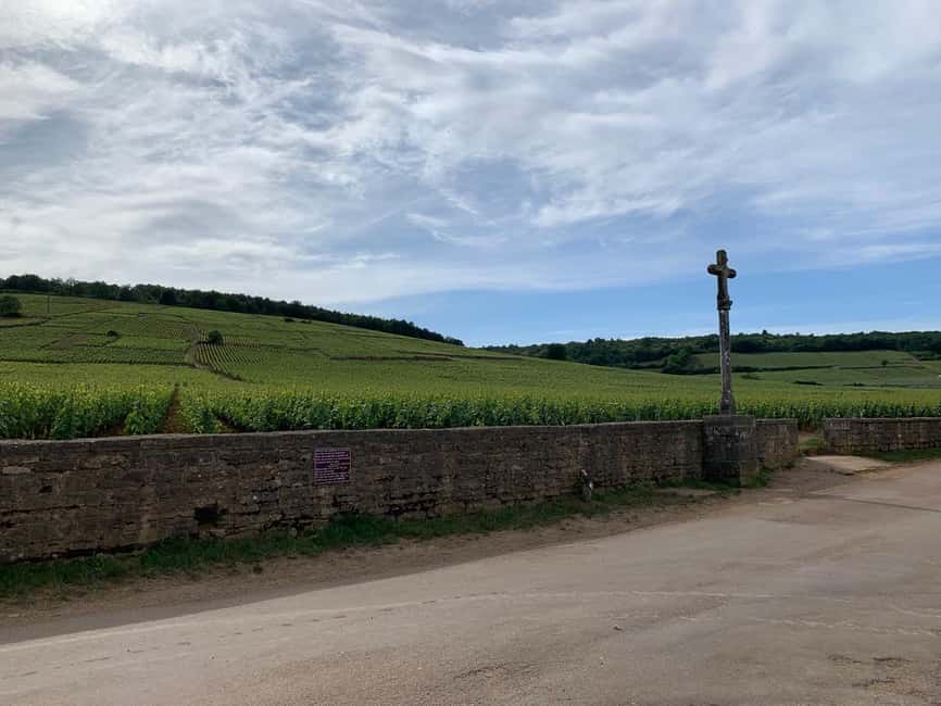 From: Dijon/Beaune: Burgundy Region Winery Tour with Lunch - The family-run winery tasting