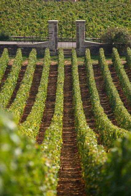 From: Dijon/Beaune: Burgundy Region Winery Tour with Lunch - Is $259 per person good value?
