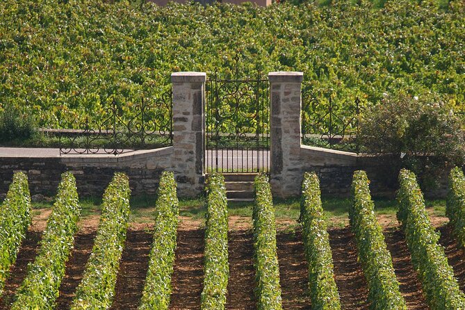From Dijon: Full day the most of Burgundy with lunch - What $263.62 really buys you