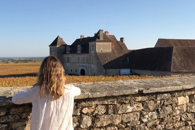 From Dijon: Full day the most of Burgundy with lunch - Montrachet Grand Cru, fifteen minutes with a big name