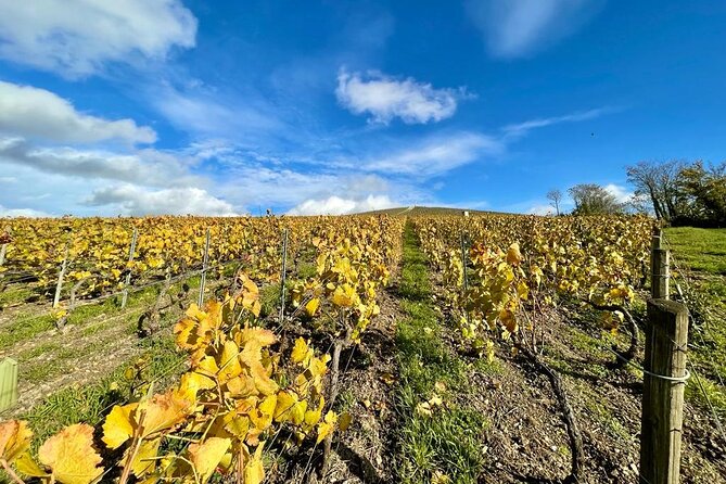 From Epernay: Champagne Small-Group tour with tastings & Lunch - Starting at Avenue de Champagne