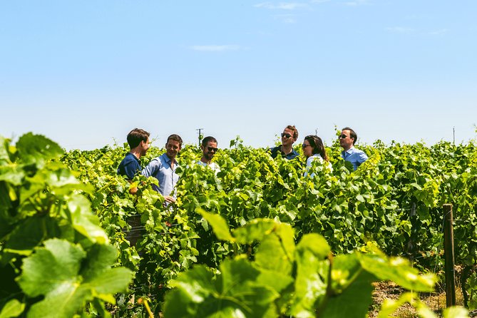 From Epernay: Champagne Small-Group tour with tastings & Lunch - Lunch at a Champagne estate in Aÿ