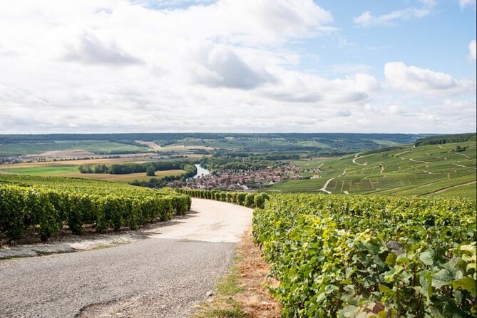 From Epernay: Champagne Small-Group tour with tastings & Lunch - What the five-hour schedule feels like