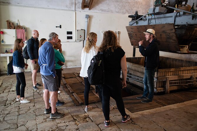 From Epernay Full day Electric bike Champagne and lunch - Four tastings, not four Champagne houses